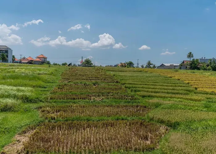 Holiday home Ricefield View 3br Designer 1 Min From