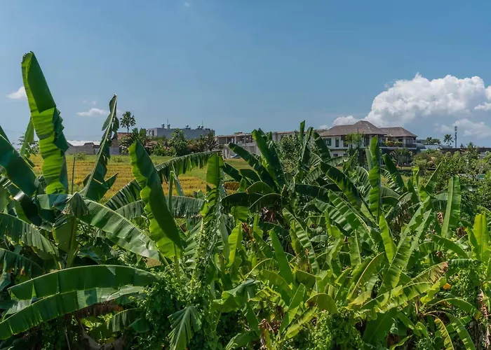 Ricefield View 3br Designer 1 Min From Holiday home Mengwi