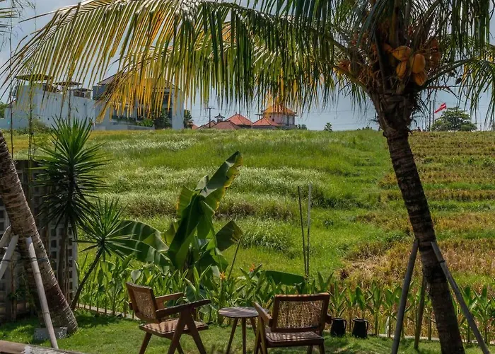 Ricefield View 3br Designer 1 Min From Holiday home