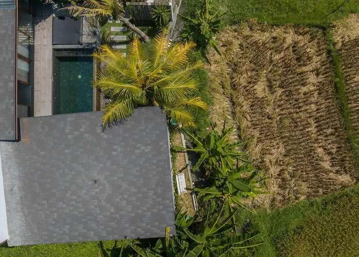 Ricefield View 3br Designer 1 Min From