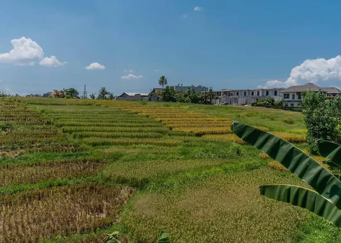 Ricefield View 3br Designer 1 Min From * Mengwi