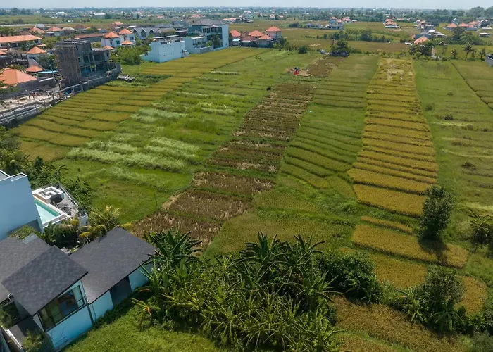 Ricefield View 3br Designer 1 Min From Mengwi