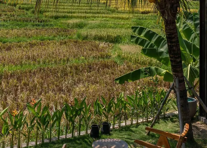 Ricefield View 3br Designer 1 Min From Holiday home