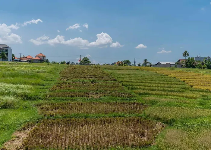 Holiday home Ricefield View 3br Designer 1 Min From